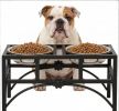 Heavy Duty Double Dog Food Bowl 17 Inch Stainless Steel Elevated Pet Feeding Station for Dogs