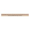 Portland Pet Food Company - Dog Treats Bacon Brw Bsct - Case Of 6-5 Oz